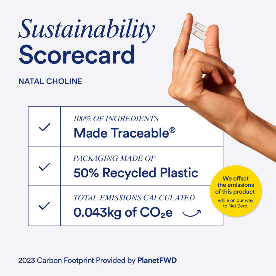 Sustainability scorecard listing the ingredient traceability, packaging sustainability, and carbon footprint for Ritual Natal Choline.