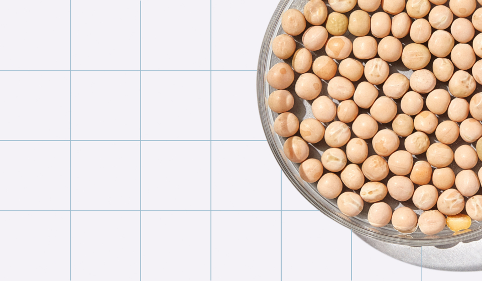 Behind the Scenes With PURIS, Our Pea Protein Manufacturer